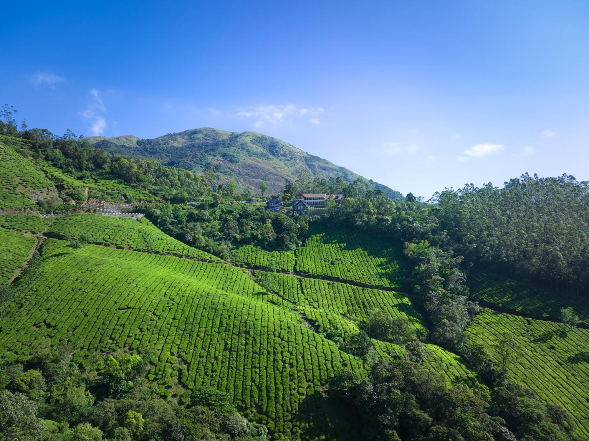 The Planet Munnar Hotel Suryanelli Bagian luar foto